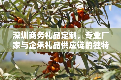 深圳商务礼品定制，专业厂家与企承礼品供应链的独特定制体验